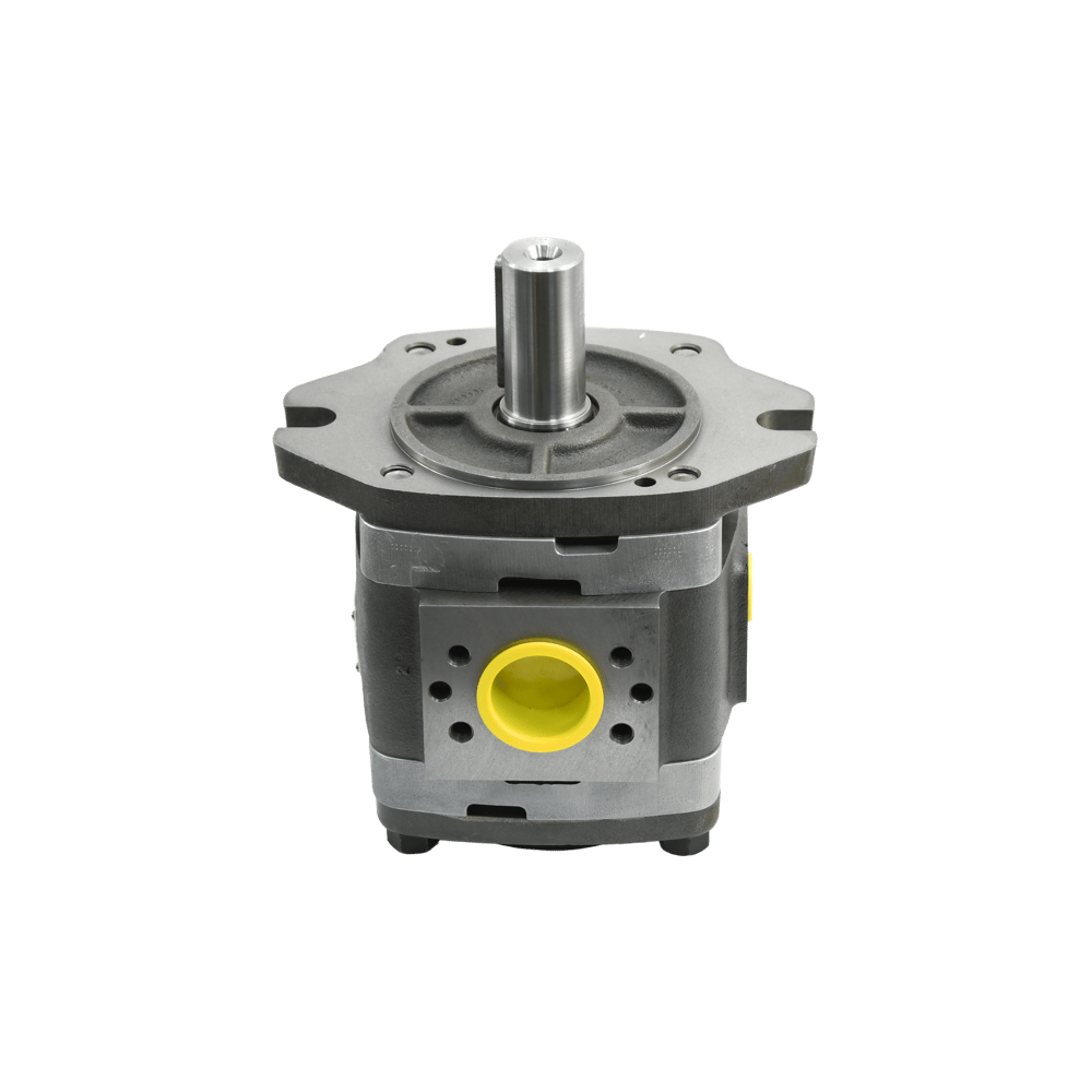 Voith Bomba de engranajes IPVW 6/-100/101